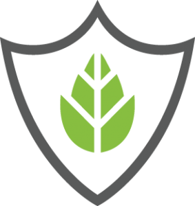 Energy Security